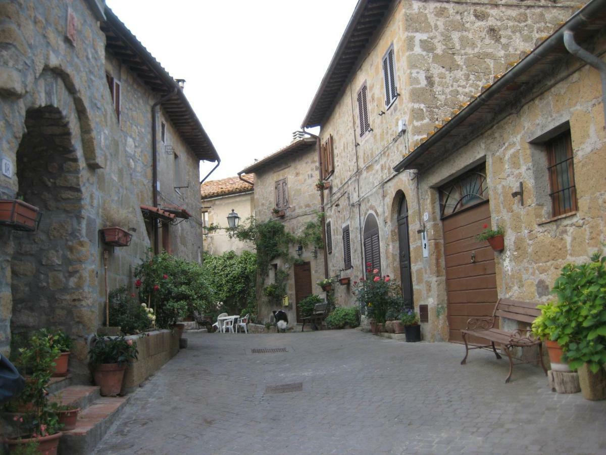 La Giuliva Di Pianiano Appartement Cellere Buitenkant foto